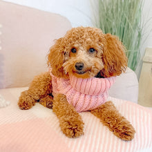 Load image into Gallery viewer, Chunky Knit Dog Jumper | Pink - Charlie and Millie Co