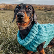 Load image into Gallery viewer, Chunky Knit Dog Jumper | Teal - Charlie and Millie Co