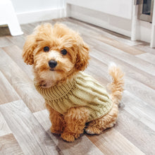 Load image into Gallery viewer, Chunky Knit Dog Jumper | Oatmeal - Charlie and Millie Co