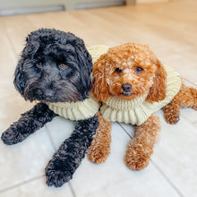 Load image into Gallery viewer, Chunky Knit Dog Jumper | Oatmeal - Charlie and Millie Co