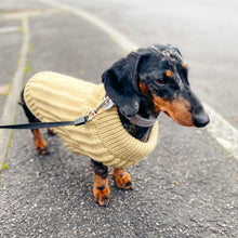 Load image into Gallery viewer, Chunky Knit Dog Jumper | Oatmeal - Charlie and Millie Co