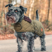 Load image into Gallery viewer, Quilted Waterproof Dog Coat | Dark Olive - Charlie and Millie Co