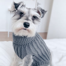 Load image into Gallery viewer, Chunky Knit Dog Jumper | Charcoal Grey - Charlie and Millie Co
