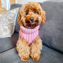 Load image into Gallery viewer, Chunky Knit Dog Jumper | Pink - Charlie and Millie Co
