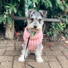 Load image into Gallery viewer, Chunky Knit Dog Jumper | Pink - Charlie and Millie Co
