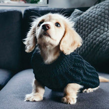 Load image into Gallery viewer, Chunky Knit Dog Jumper | Black - Charlie and Millie Co
