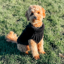 Load image into Gallery viewer, Chunky Knit Dog Jumper | Black - Charlie and Millie Co
