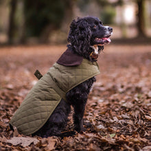 Load image into Gallery viewer, Quilted Waterproof Dog Coat  | Dark Olive - Charlie and Millie Co
