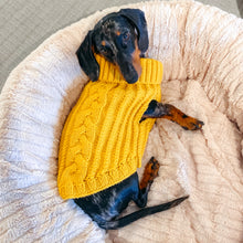 Load image into Gallery viewer, Chunky Knit Dog Jumper | Mustard - Charlie and Millie Co
