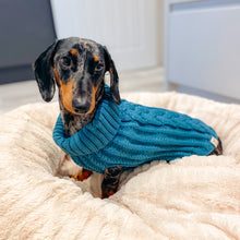 Load image into Gallery viewer, Chunky Knit Dog Jumper | Teal - Charlie and Millie Co
