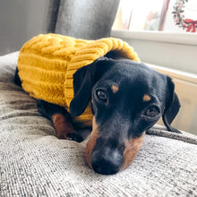 Load image into Gallery viewer, Chunky Knit Dog Jumper | Mustard - Charlie and Millie Co
