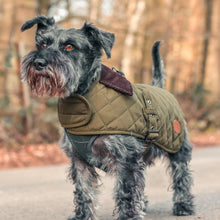 Load image into Gallery viewer, Quilted Waterproof Dog Coat  | Dark Olive - Charlie and Millie Co
